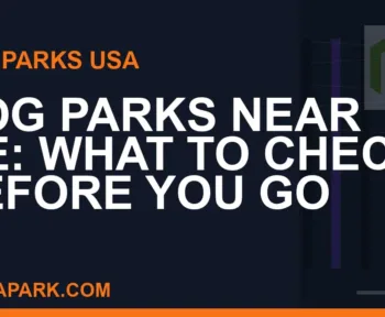 dog parks near me - Dog Parks Near Me: What to Check Before You Go | RATNAPARK