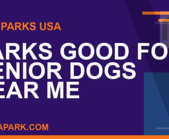 parks for senior dogs near me - Parks Good for Senior Dogs Near Me | RATNAPARK