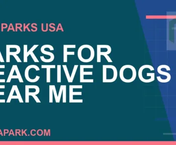parks for reactive dogs near me - Parks for Reactive Dogs Near Me | RATNAPARK