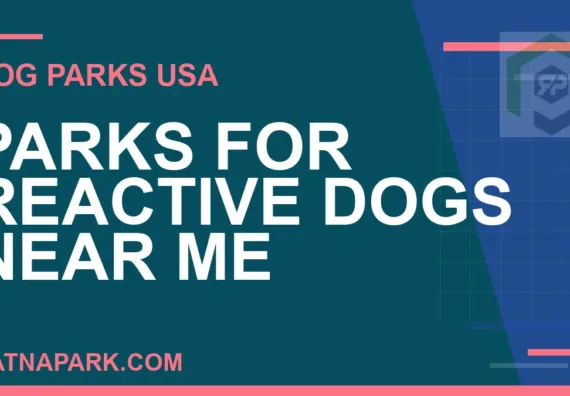 parks for reactive dogs near me - Parks for Reactive Dogs Near Me | RATNAPARK