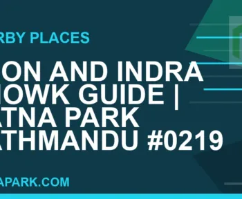 places near Ratna Park - Ason and Indra Chowk Guide | Ratna Park Kathmandu #0219 | RATNAPARK
