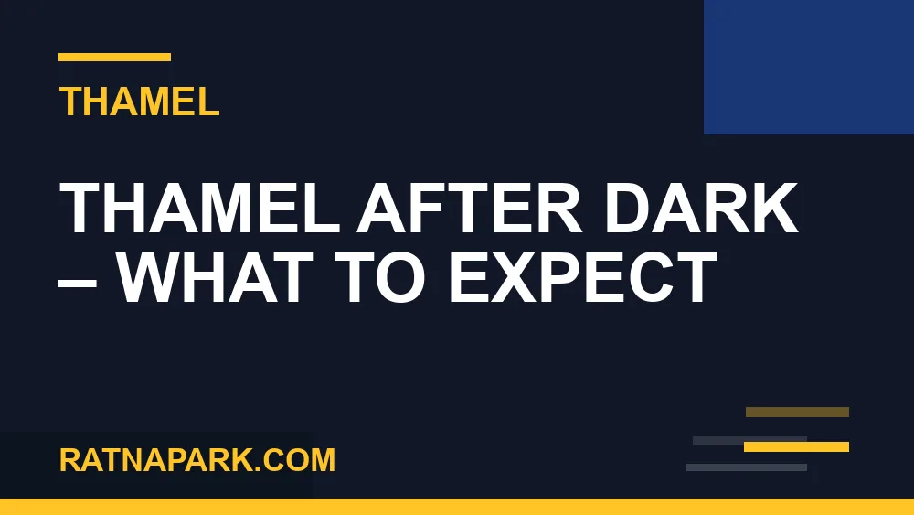 Is Thamel safe at night - Thamel After Dark – What to Expect | RATNAPARK